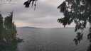 ./images/koeye/fitz-hugh/20260817/fitz-hugh20260817_165001M.jpg
