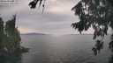 ./images/koeye/fitz-hugh/20260817/fitz-hugh20260817_165501M.jpg