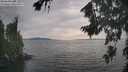 ./images/koeye/fitz-hugh/20260817/fitz-hugh20260817_173001M.jpg
