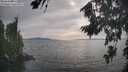 ./images/koeye/fitz-hugh/20260817/fitz-hugh20260817_173501M.jpg