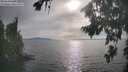 ./images/koeye/fitz-hugh/20260817/fitz-hugh20260817_174002M.jpg