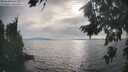 ./images/koeye/fitz-hugh/20260817/fitz-hugh20260817_175501M.jpg