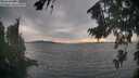 ./images/koeye/fitz-hugh/20260817/fitz-hugh20260817_181001M.jpg
