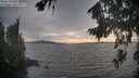 ./images/koeye/fitz-hugh/20260817/fitz-hugh20260817_183001M.jpg