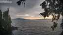 ./images/koeye/fitz-hugh/20260817/fitz-hugh20260817_183501M.jpg