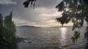 ./images/koeye/fitz-hugh/20260817/fitz-hugh20260817_185002M.jpg