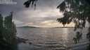 ./images/koeye/fitz-hugh/20260817/fitz-hugh20260817_185501M.jpg