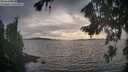 ./images/koeye/fitz-hugh/20260817/fitz-hugh20260817_190002M.jpg