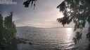 ./images/koeye/fitz-hugh/20260817/fitz-hugh20260817_191501M.jpg