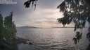 ./images/koeye/fitz-hugh/20260817/fitz-hugh20260817_192001M.jpg
