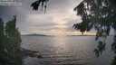 ./images/koeye/fitz-hugh/20260817/fitz-hugh20260817_192501M.jpg