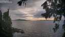 ./images/koeye/fitz-hugh/20260817/fitz-hugh20260817_193001M.jpg