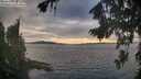 ./images/koeye/fitz-hugh/20260817/fitz-hugh20260817_194001M.jpg