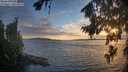 ./images/koeye/fitz-hugh/20260817/fitz-hugh20260817_201501M.jpg