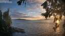 ./images/koeye/fitz-hugh/20260817/fitz-hugh20260817_202001M.jpg