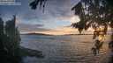 ./images/koeye/fitz-hugh/20260817/fitz-hugh20260817_202501M.jpg