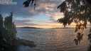 ./images/koeye/fitz-hugh/20260817/fitz-hugh20260817_203001M.jpg