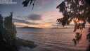 ./images/koeye/fitz-hugh/20260817/fitz-hugh20260817_210001M.jpg
