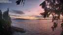 ./images/koeye/fitz-hugh/20260817/fitz-hugh20260817_210501M.jpg