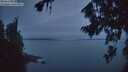 ./images/koeye/fitz-hugh/20260818/fitz-hugh20260818_055001M.jpg
