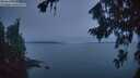 ./images/koeye/fitz-hugh/20260818/fitz-hugh20260818_055502M.jpg