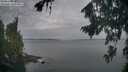 ./images/koeye/fitz-hugh/20260818/fitz-hugh20260818_062001M.jpg
