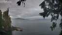 ./images/koeye/fitz-hugh/20260818/fitz-hugh20260818_064502M.jpg