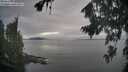 ./images/koeye/fitz-hugh/20260818/fitz-hugh20260818_071001M.jpg