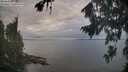 ./images/koeye/fitz-hugh/20260818/fitz-hugh20260818_073501M.jpg