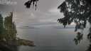 ./images/koeye/fitz-hugh/20260818/fitz-hugh20260818_080001M.jpg