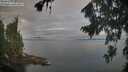 ./images/koeye/fitz-hugh/20260818/fitz-hugh20260818_080501M.jpg