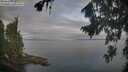 ./images/koeye/fitz-hugh/20260818/fitz-hugh20260818_081002M.jpg