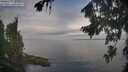 ./images/koeye/fitz-hugh/20260818/fitz-hugh20260818_082501M.jpg