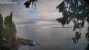 ./images/koeye/fitz-hugh/20260818/fitz-hugh20260818_083002M.jpg