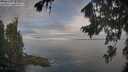 ./images/koeye/fitz-hugh/20260818/fitz-hugh20260818_083501M.jpg