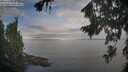 ./images/koeye/fitz-hugh/20260818/fitz-hugh20260818_084001M.jpg