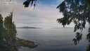 ./images/koeye/fitz-hugh/20260818/fitz-hugh20260818_093002M.jpg