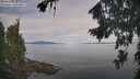 ./images/koeye/fitz-hugh/20260818/fitz-hugh20260818_094001M.jpg