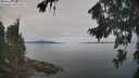 ./images/koeye/fitz-hugh/20260818/fitz-hugh20260818_101501M.jpg