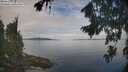 ./images/koeye/fitz-hugh/20260818/fitz-hugh20260818_102002M.jpg