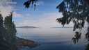 ./images/koeye/fitz-hugh/20260818/fitz-hugh20260818_103001M.jpg