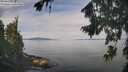 ./images/koeye/fitz-hugh/20260818/fitz-hugh20260818_103501M.jpg