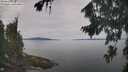 ./images/koeye/fitz-hugh/20260818/fitz-hugh20260818_105002M.jpg