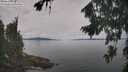 ./images/koeye/fitz-hugh/20260818/fitz-hugh20260818_110002M.jpg