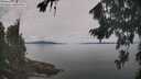 ./images/koeye/fitz-hugh/20260818/fitz-hugh20260818_110501M.jpg
