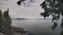 ./images/koeye/fitz-hugh/20260818/fitz-hugh20260818_112001M.jpg