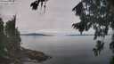 ./images/koeye/fitz-hugh/20260818/fitz-hugh20260818_114001M.jpg