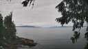 ./images/koeye/fitz-hugh/20260818/fitz-hugh20260818_120001M.jpg