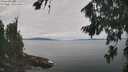 ./images/koeye/fitz-hugh/20260818/fitz-hugh20260818_120501M.jpg