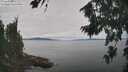 ./images/koeye/fitz-hugh/20260818/fitz-hugh20260818_121001M.jpg